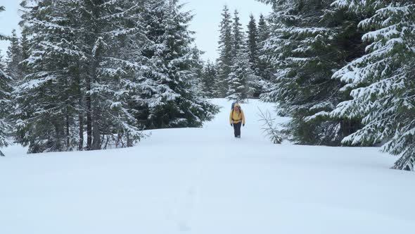 Man with Backpack Goes in the Woods in Winter