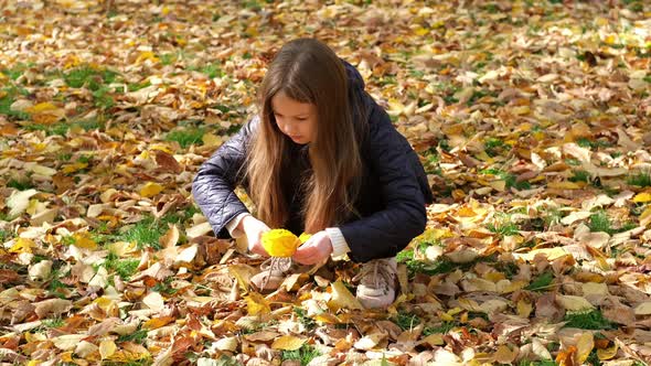 Girl Collects Leaves in Autumn Park