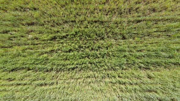 Aerial drone view of a flying over the rural agricultural landscape.