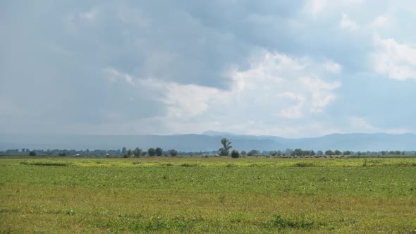 Landscape View of the Carpathian Mountains and Green Fields. Summer