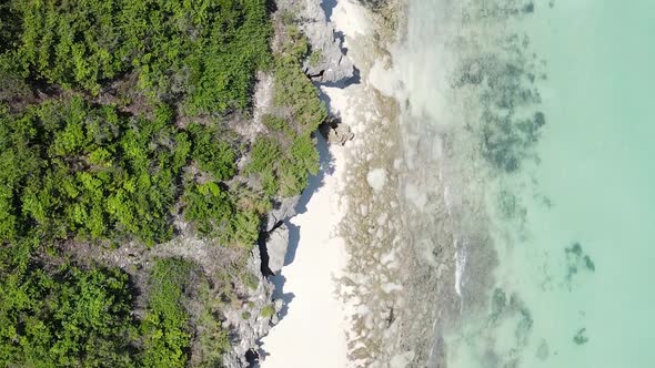 Vertical Video of the Ocean Near the Coast of Zanzibar Tanzania Aerial View