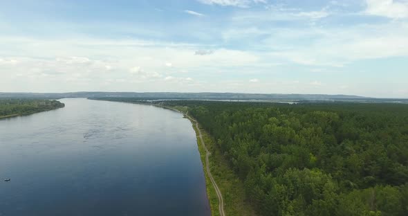 River and forest