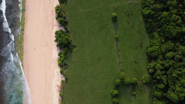 Birds eye view along Nyang Nyang beach Bali