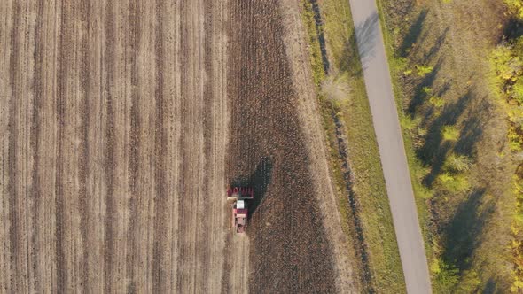 Aerial View Combine Harvesting on Sunflower Field. Mechanized Harvesting Sunflower. Large Field of