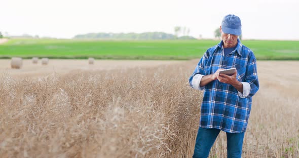 Agriculture Farmer Examining Field Modern Farming