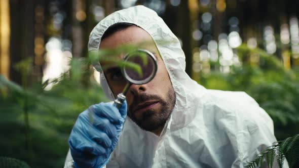 Discover New Plant Species in the Forest alt