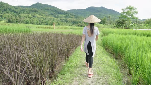 Asian Girl Walking In Rice Field