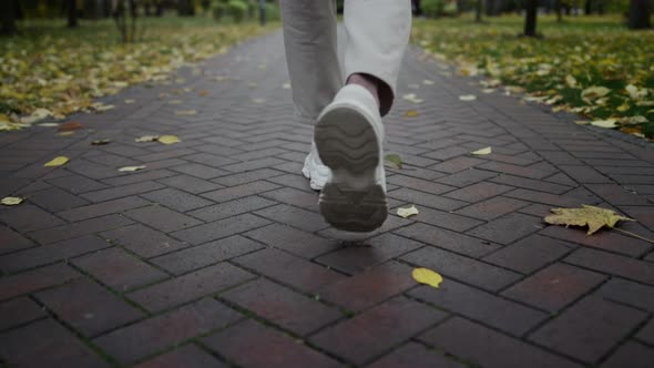 Back View of Man Feet Walking Along Autumn Park in Daytime