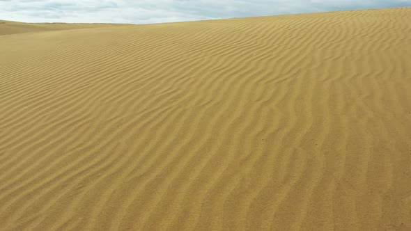 Panning Along Endless Sand Dunes and Barchans in the Sweltering Desert