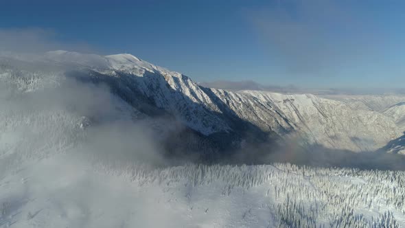 Flight Over the Snowcovered Spruce Forest with Mountains in the Background