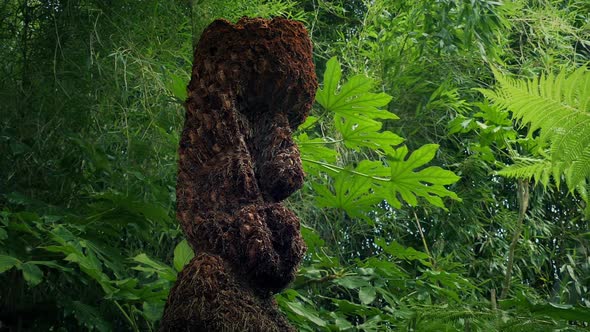 Tribal Head Statue In The Jungle