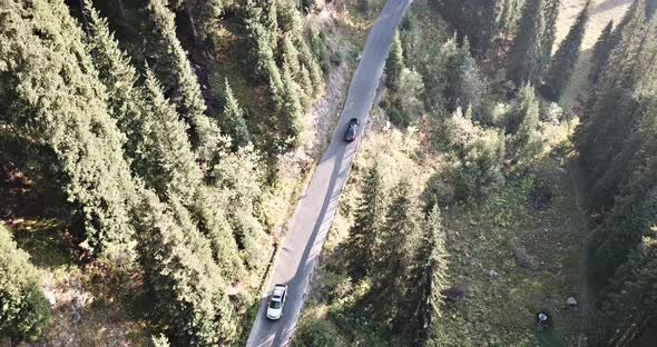 The Car Is Driving on a Road in the Forest