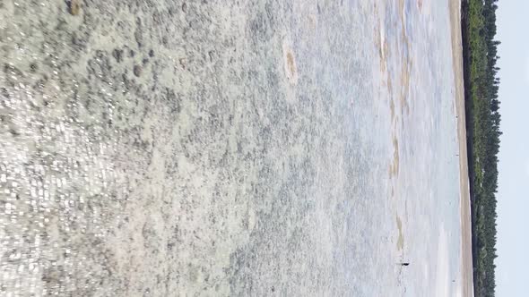 Vertical Video of the Ocean Near the Coast of Zanzibar Tanzania Aerial View