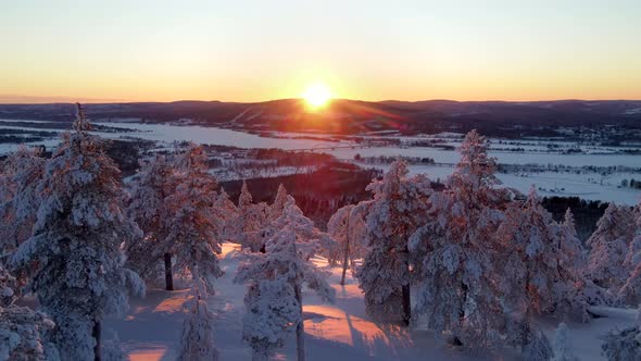 Aerial view of a forest in winter in Overtornea, Sweden.