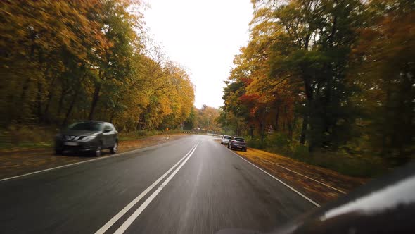 Driving On A Beautiful, Rainy Autumn Forest Road, Stock Footage By Brian Holm Nielsen