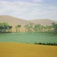 Oasis in Desert - VideoHive Item for Sale
