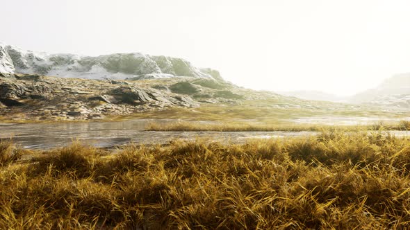 Yellow Dry Grass on the Mountain in Autumn