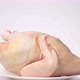 Chilled carcass of homemade chicken rotates on a white background, front view - VideoHive Item for Sale