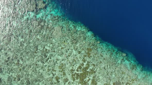 Aerial: woman snorkeling on Hatta Island coral reef tropical caribbean sea turqu