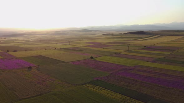 Sunset under the field Aerial View