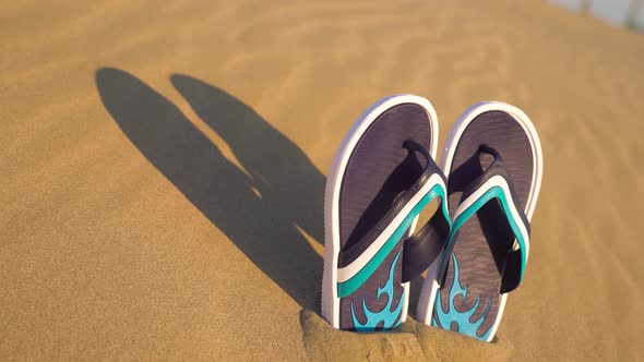 Flip Flops on the Sand in the Sun