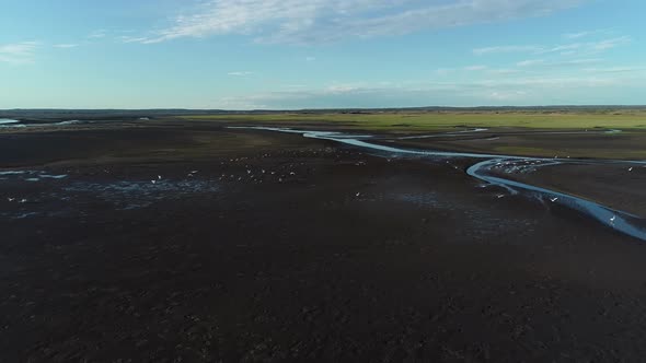 Flight of flamingos in a cove.Phantom 4 pro plus.