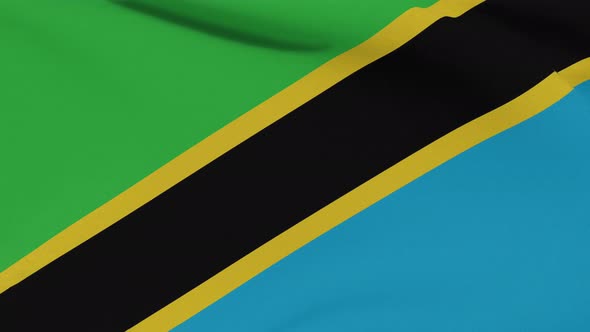 Flag Tanzania Patriotism National Freedom Seamless Loop