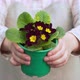 Young Woman Holds Out Pots of Flowers - VideoHive Item for Sale