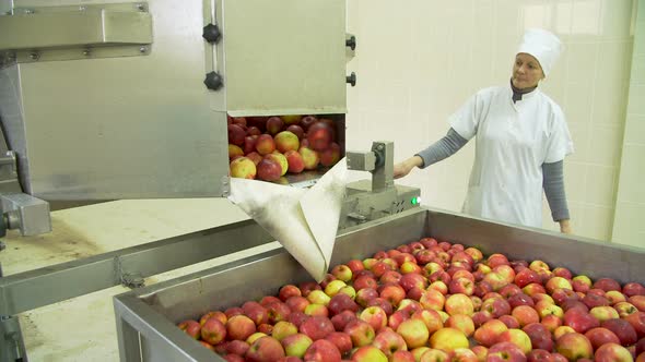 Washing Apples on the Conveyor