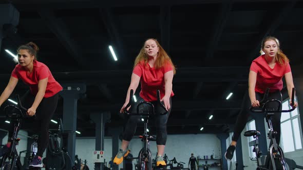 Healthy Caucasian Group of Women Exercising Workout on Stationary Cycling Machine Bike in Gym