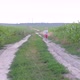 A Girl Walks Along a Rural Path - VideoHive Item for Sale