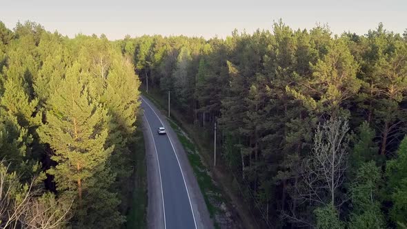 Aerial Power Line Poles Stand By Road with Driving Auto