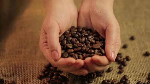 Female hands pouring roasted coffee beans on cloth, gourmet taste of espresso