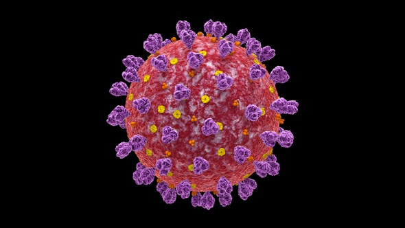 Coronavirus Covid 19 Cell alt