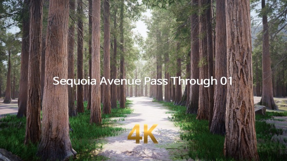 Sequoia Avenue Pass Through 4K 01