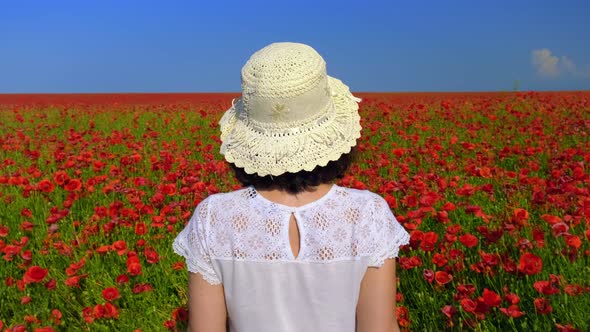 Female Back with a Hat in a Red Poppy Field. White Clothes. Blue Sky. Close up