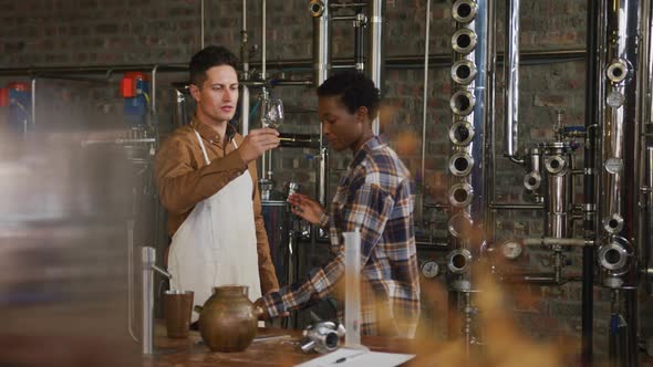 Diverse male and female colleague at gin distillery inspecting product, woman using tablet