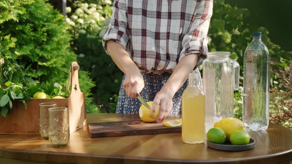 Unrecognizable Young Woman Making Summer Homemade Lemonade