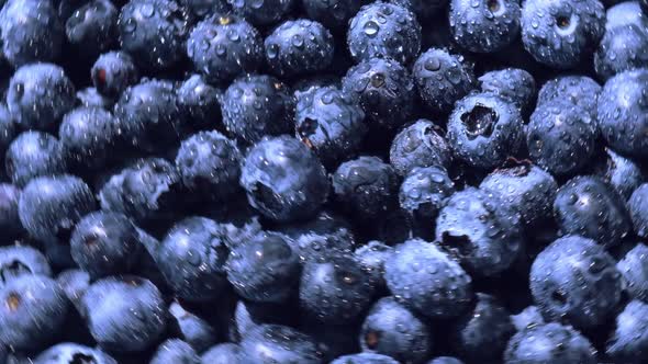 Fresh Blueberries Background Rotating in Slow Motion