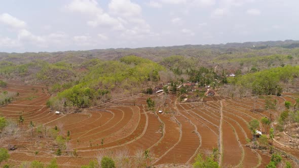 Agricultural Landscape in Asia