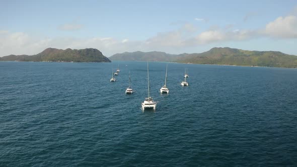 Arial view: yachts lined up in a wedge, yachting, sailing
