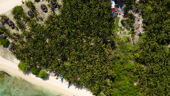 Palm Trees and Turquoise Water on a Tropical Island, Top View.