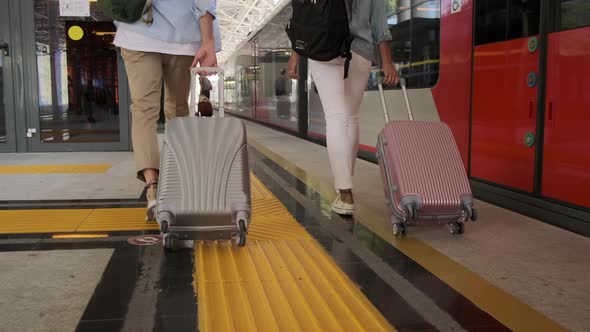 Travelers with Trolley Cases Back View