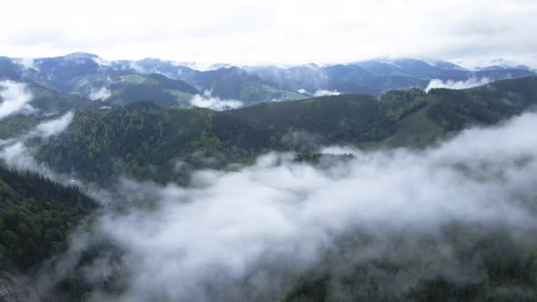 Fog in the Mountains. Slow Motion. Carpathians. Ukraine. Aerial.