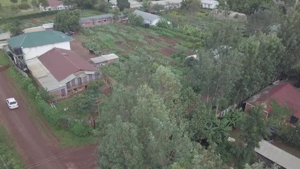 Gardens in Africa