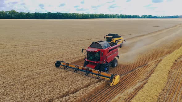 Harvesting fields skyline. Agriculture machine harvesting crop in fields