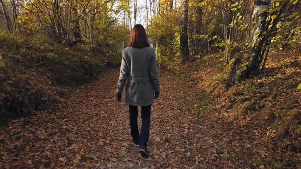 One Woman Walks On Autumn Pathway In Forest