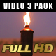 Fire Torches - VideoHive Item for Sale
