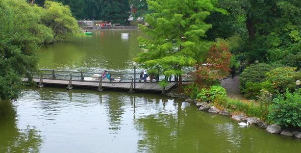 The Park and People Having Fun on Lake