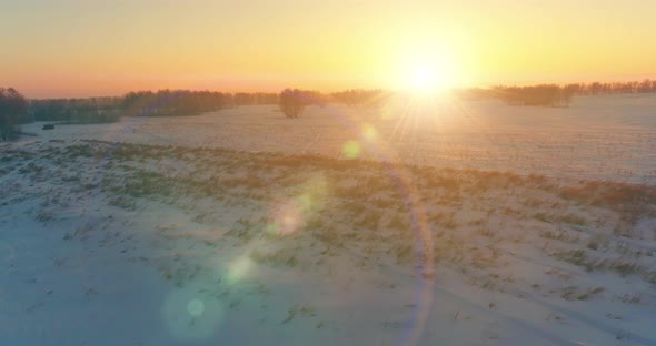 Aerial Drone View of Cold Winter Landscape with Arctic Field, Trees Covered with Frost Snow